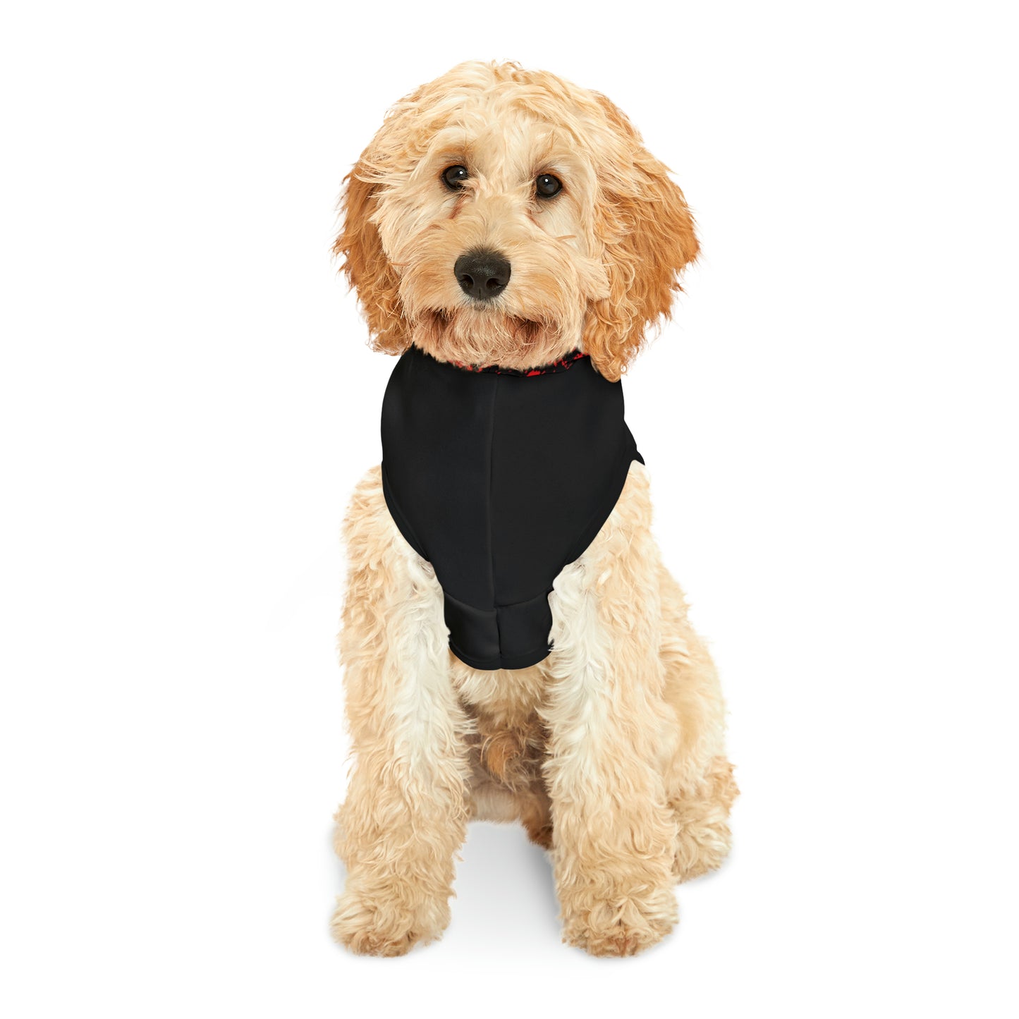 Pet Hoodie with Roar Lion Logo
