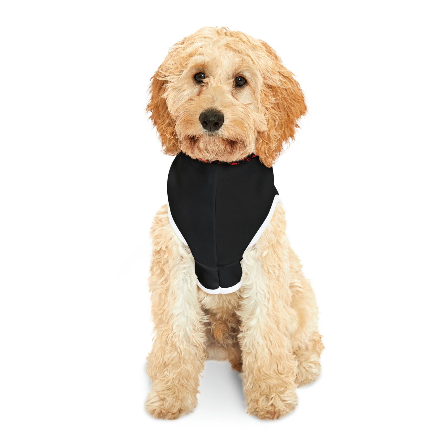 Pet Hoodie with Roar Lion Logo