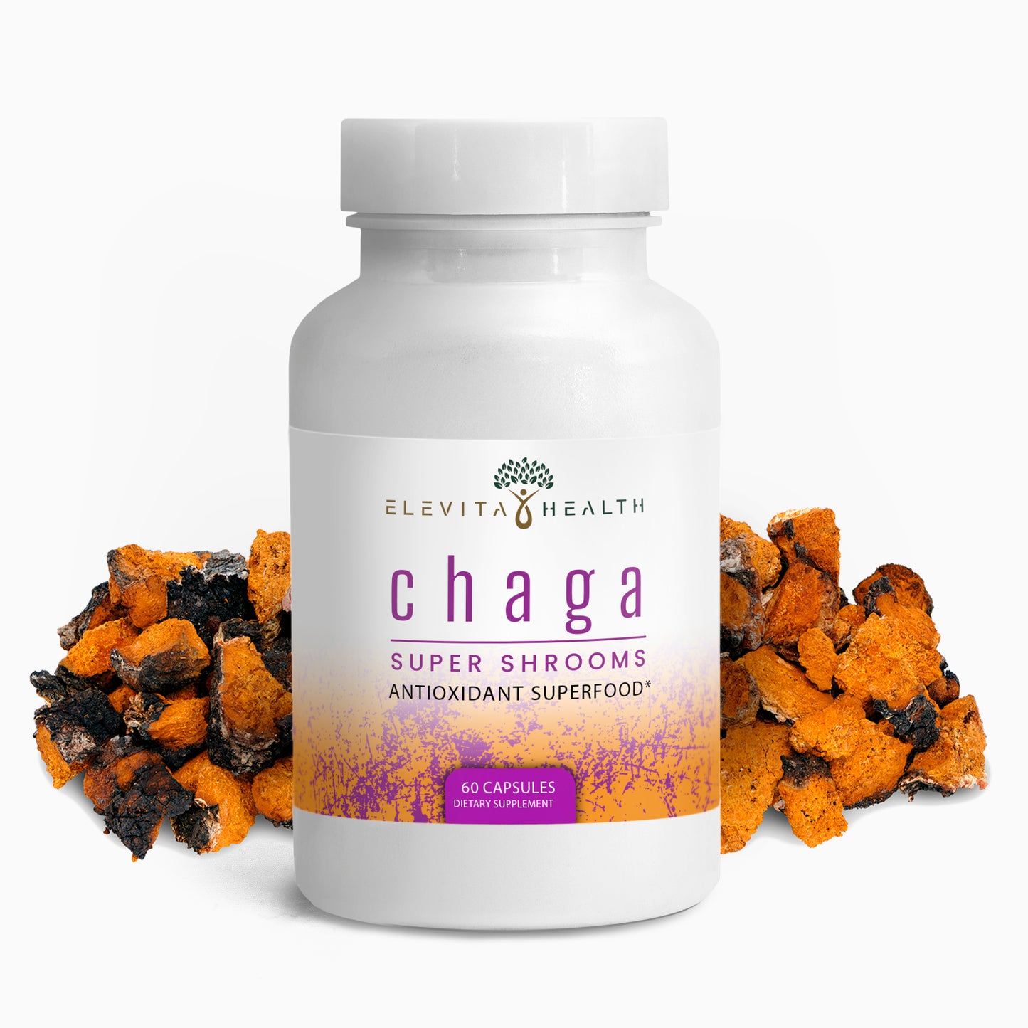 Chaga Mushroom