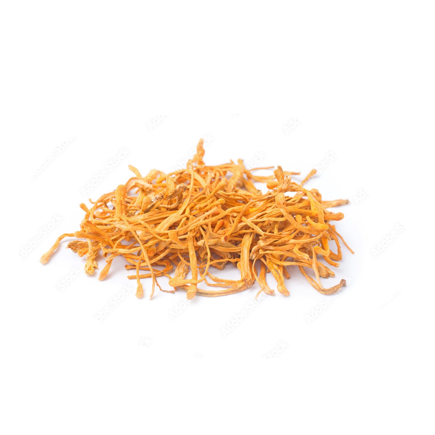 Cordyceps Mushroom - SOON TO BE DISCONTINUED