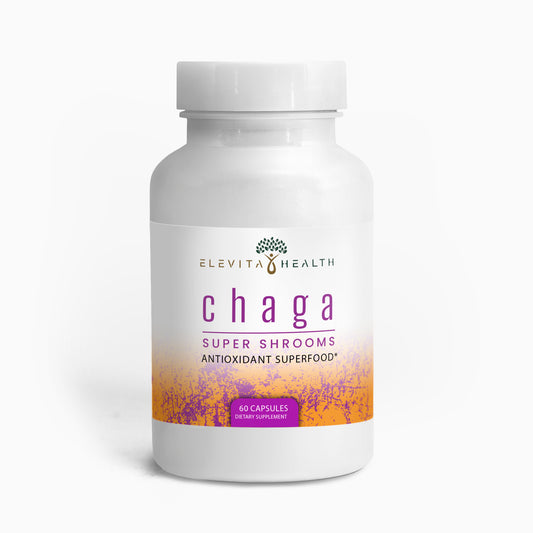 Chaga Mushroom