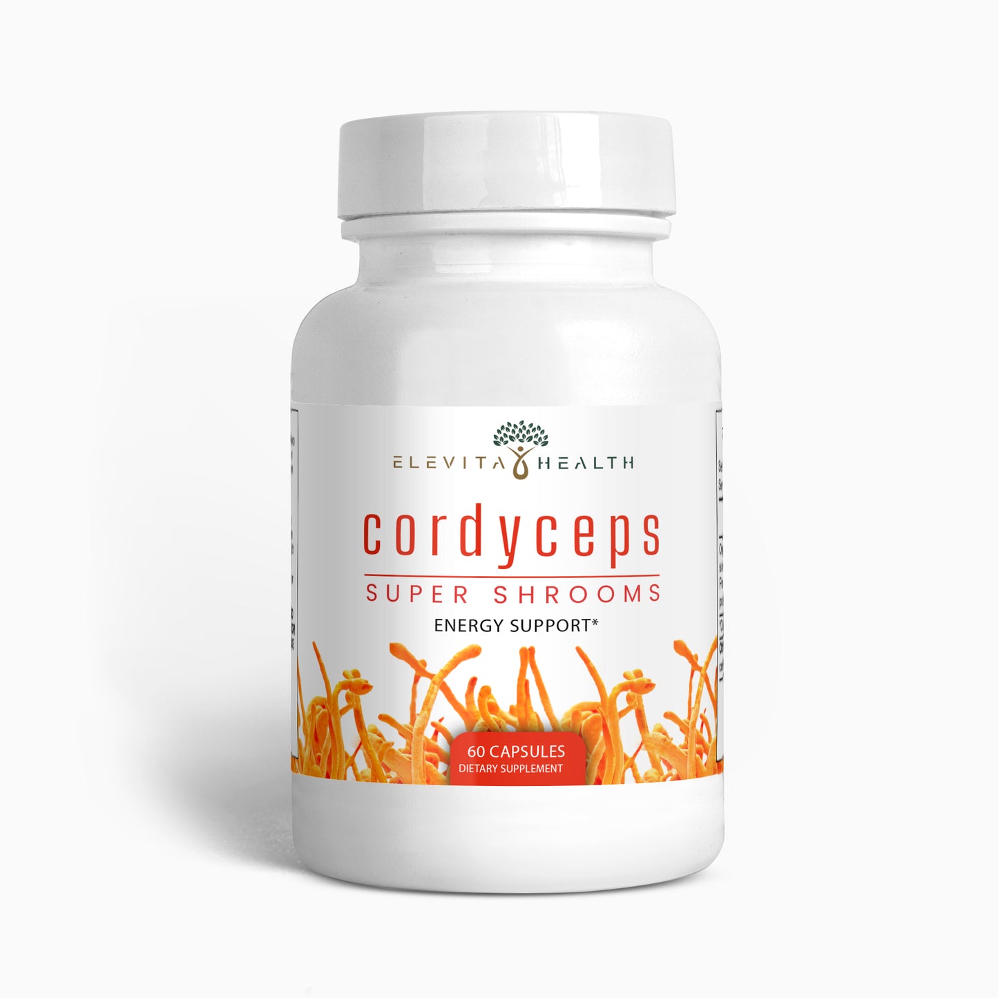 Cordyceps Mushroom